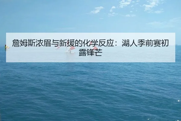 詹姆斯浓眉与新援的化学反应：湖人季前赛初露锋芒